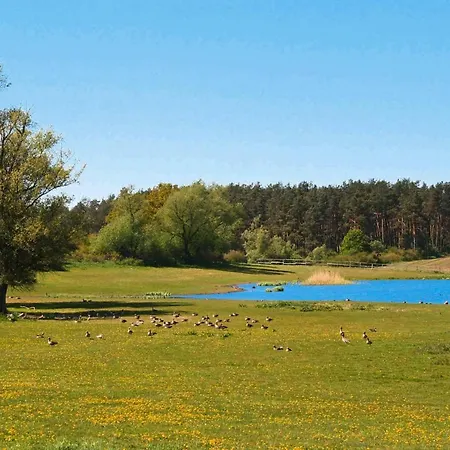 Tatil Evi Bungalow Am Gross Labenzer See - Dms01088-b